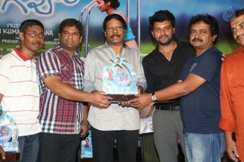 Swimming Pool Platinum Disc Function - 38 of 42