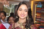 Tamanna At Kalaniketan Showroom - 1 of 37