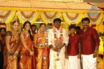 Tamil Celebs at Director Hari Brother Wedding - 1 of 88