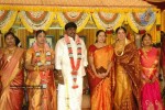 Tamil Celebs at Director Hari Brother Wedding - 9 of 88