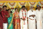 Tamil Celebs at Director Hari Brother Wedding - 13 of 88