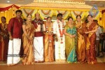 Tamil Celebs at Director Hari Brother Wedding - 14 of 88