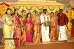 Tamil Celebs at Director Hari Brother Wedding - 18 of 88