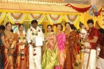 Tamil Celebs at Director Hari Brother Wedding - 20 of 88