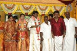 Tamil Celebs at Director Hari Brother Wedding - 25 of 88