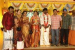 Tamil Celebs at Director Hari Brother Wedding - 29 of 88