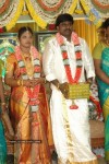 Tamil Celebs at Director Hari Brother Wedding - 35 of 88