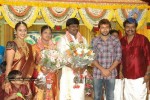 Tamil Celebs at Director Hari Brother Wedding - 36 of 88