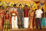 Tamil Celebs at Director Hari Brother Wedding - 38 of 88
