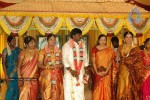 Tamil Celebs at Director Hari Brother Wedding - 64 of 88