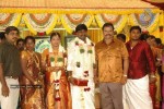 Tamil Celebs at Director Hari Brother Wedding - 67 of 88