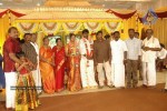 Tamil Celebs at Director Hari Brother Wedding - 74 of 88