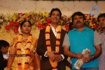 Tamil Celebs at Kalaipuli Thanu Son Wedding - 33 of 116