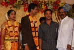 Tamil Celebs at Kalaipuli Thanu Son Wedding - 107 of 116
