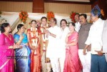 Tamil Celebs at SSR Son Wedding Reception Photos - 2 of 75