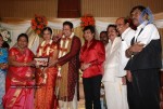 Tamil Celebs at SSR Son Wedding Reception Photos - 3 of 75