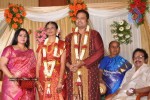 Tamil Celebs at SSR Son Wedding Reception Photos - 4 of 75