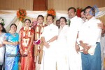 Tamil Celebs at SSR Son Wedding Reception Photos - 12 of 75