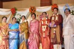 Tamil Celebs at SSR Son Wedding Reception Photos - 13 of 75