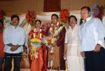 Tamil Celebs at SSR Son Wedding Reception Photos - 47 of 75