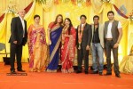 Tania and Hari Wedding Reception - 2 of 27