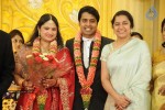 Tania and Hari Wedding Reception - 6 of 27