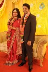 Tania and Hari Wedding Reception - 15 of 27