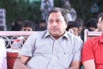 Tanu Monne Vellipoyindi Audio Launch 01 - 108 of 152