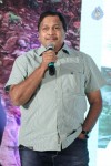 Tanu Monne Vellipoyindi Audio Launch 02 - 93 of 95