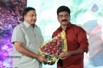 Tanu Monne Vellipoyindi Audio Launch 02 - 100 of 95