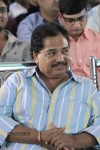 Tanu Monne Vellipoyindi Audio Launch 02 - 102 of 95