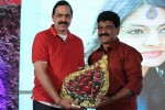 Tanu Monne Vellipoyindi Audio Launch  - 2 of 72