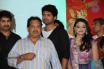 Tanu Monne Vellipoyindi Audio Launch  - 13 of 72