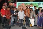 Tanu Monne Vellipoyindi Audio Launch  - 39 of 72