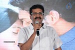 Tanu Monne Vellipoyindi Audio Launch  - 44 of 72