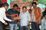 Tanu Monne Vellipoyindi Audio Launch  - 61 of 72