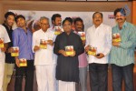 Tanu Nenu Mohammad Rafi Audio Launch - 3 of 50