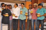 Tanu Nenu Mohammad Rafi Audio Launch - 15 of 50