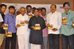 Tanu Nenu Mohammad Rafi Audio Launch - 24 of 50
