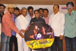 Tanu Nenu Mohammad Rafi Audio Launch - 30 of 50