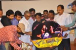 Tanu Nenu Mohammad Rafi Audio Launch - 47 of 50