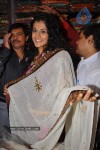Tapsee Launches Chandana Brothers New Showroom - 100 of 90