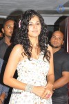 Tapsee Promotes Daruvu Movie at Hyd City Center - 82 of 102