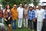 Tea Samosa Biscuit Movie Opening - 50 of 83