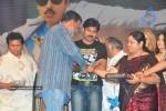 Teenmaar Movie Audio Launch (Set 3) - 31 of 41