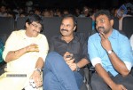 Telugabbai Movie Audio Launch - 45 of 48