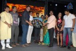 Telugabbai Movie Audio Launch - 26 of 48