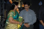 Telugabbai Movie Audio Launch - 32 of 48