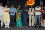 Telugabbai Movie Audio Launch - 39 of 48