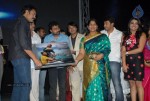 Telugabbai Movie Audio Launch - 20 of 48